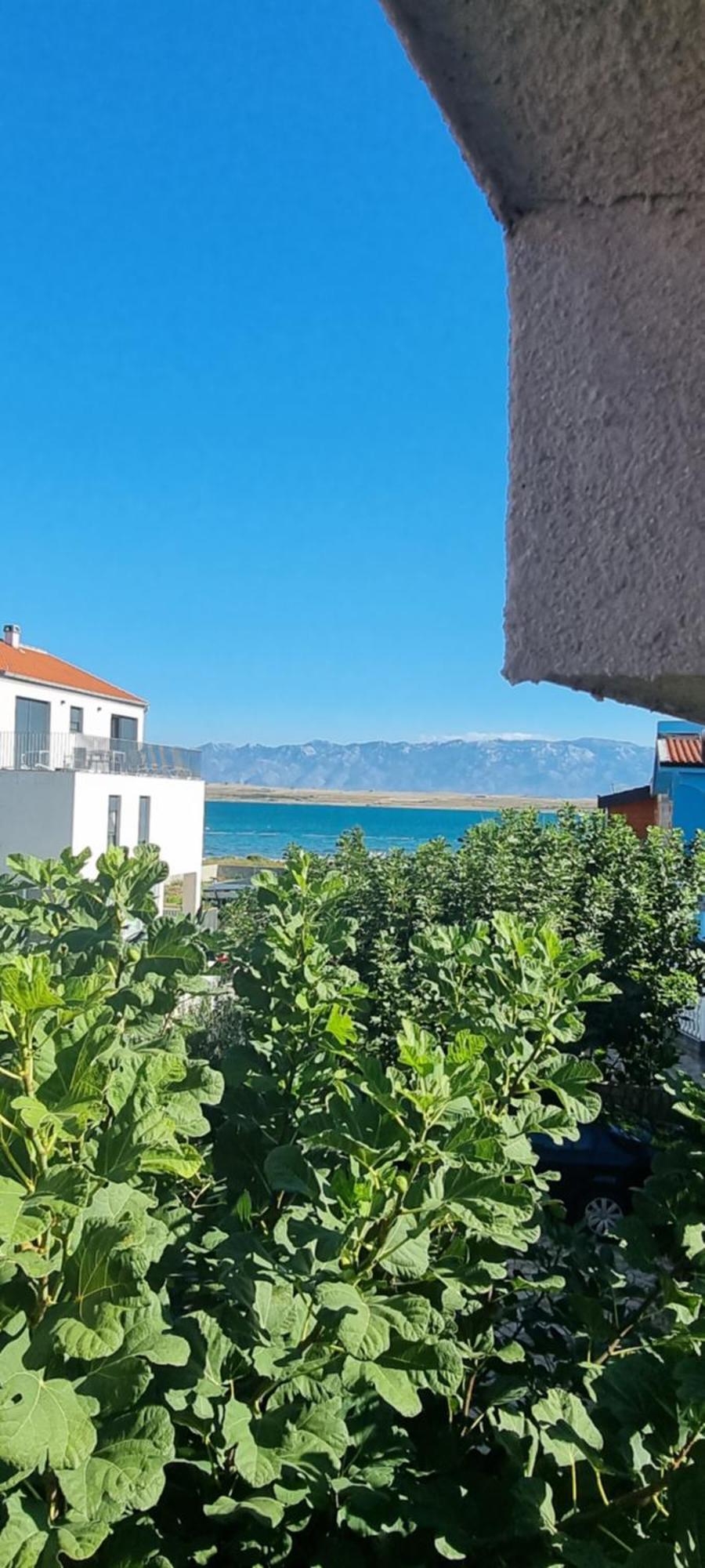 Villa Marija Vir Luaran gambar